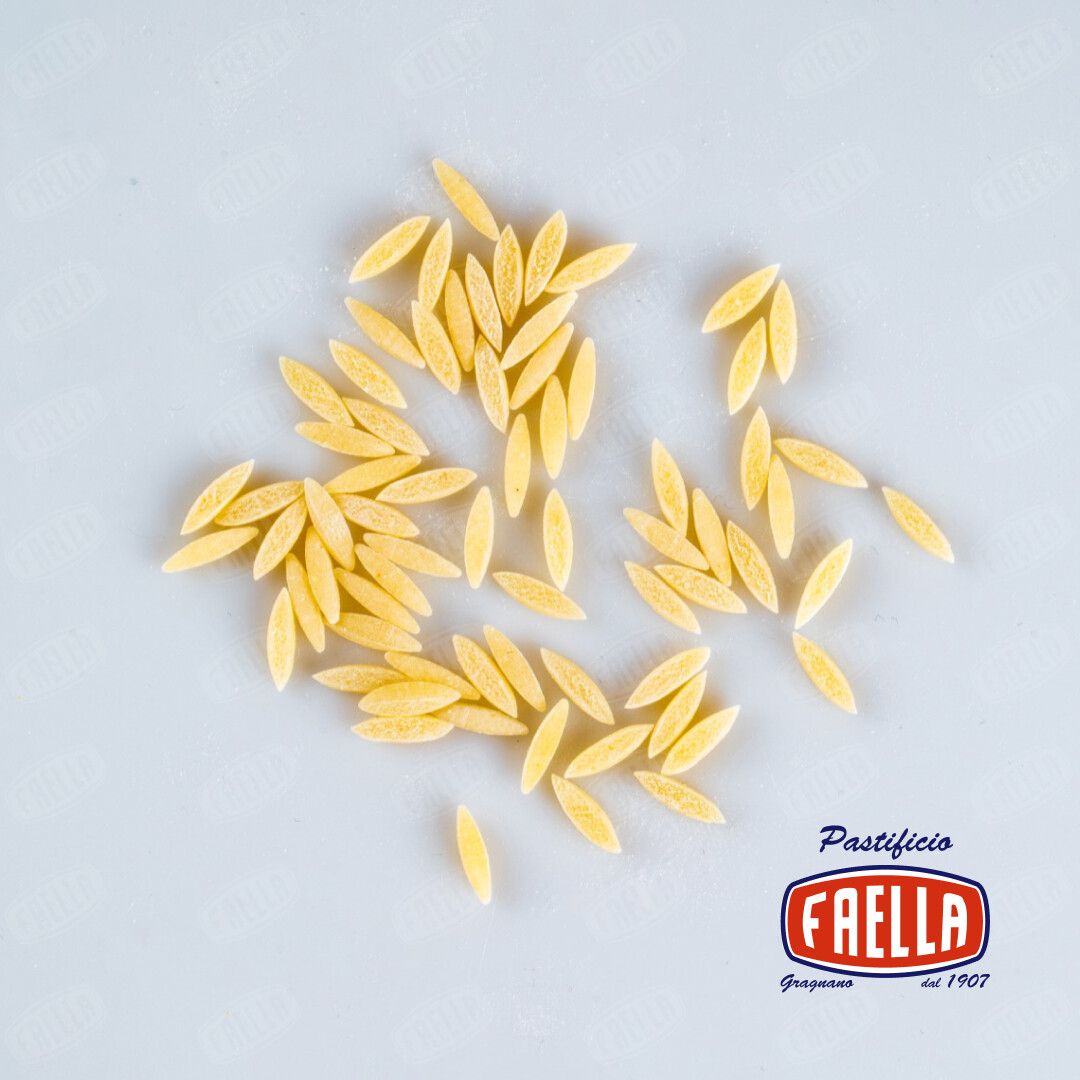 Semi di grano