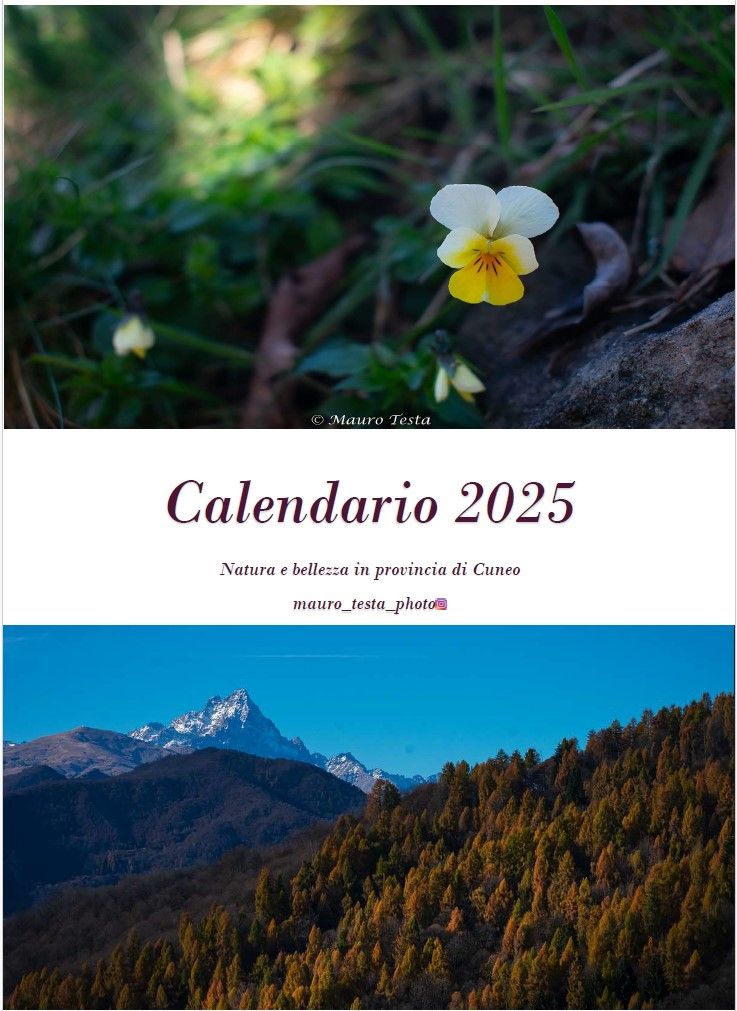 Calendario 2025 da parete &#39;Natura e bellezza in provincia di Cuneo&#39;. Stampato in formato A3 (29,7 x 42 cm).