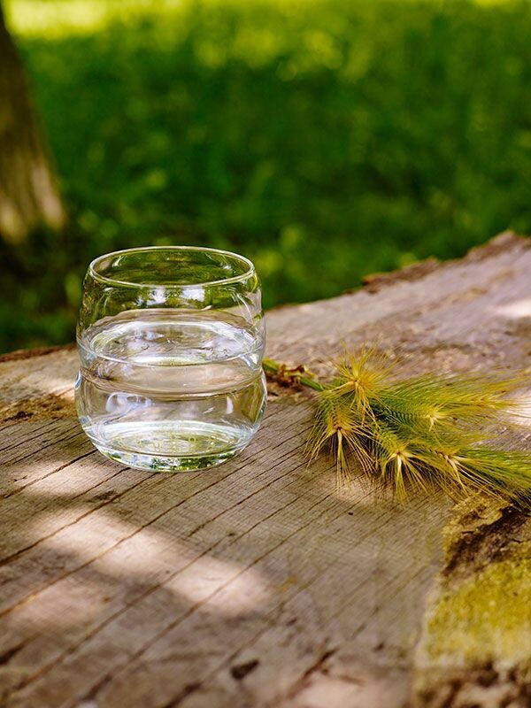 Glass Mythos  Nature's Design