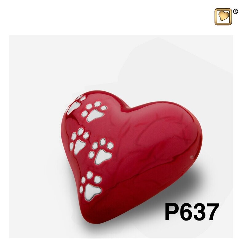 P637