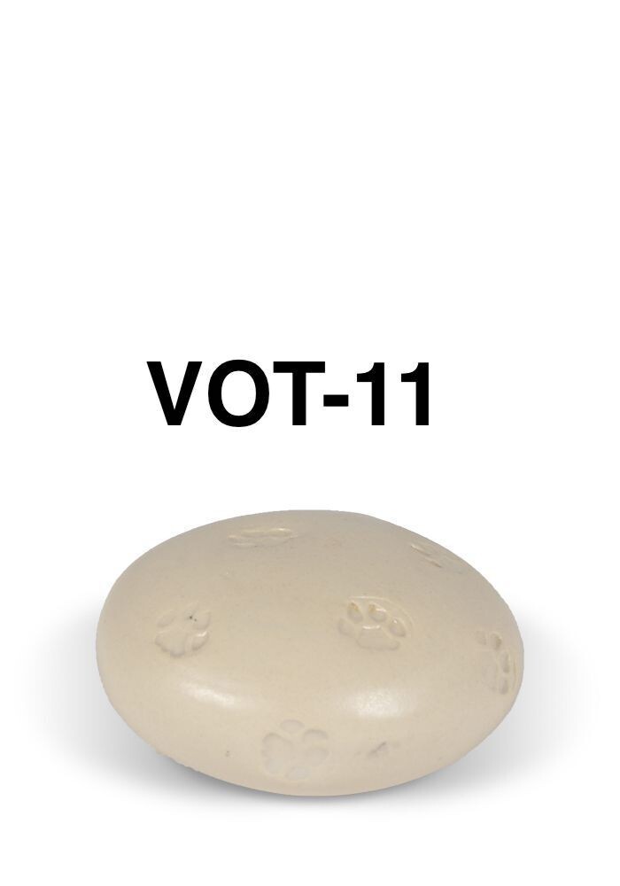 VOT11