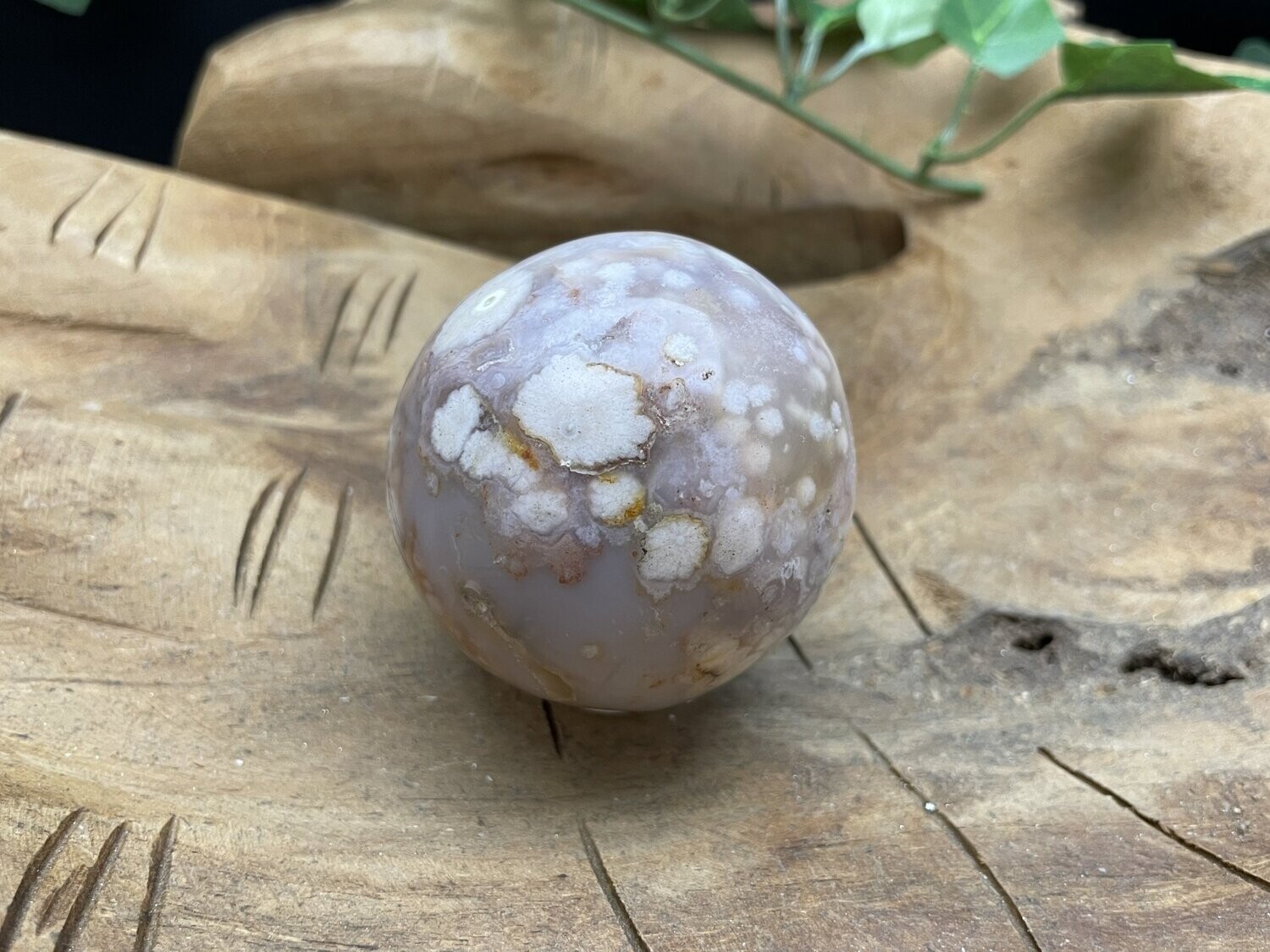 Bloemagaat bol