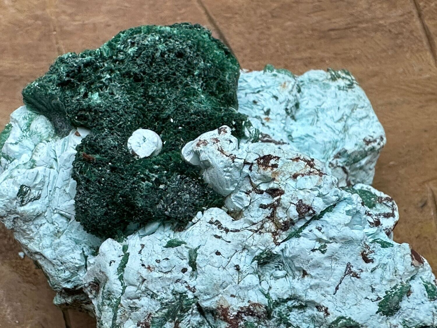 Ruwe Malacolla