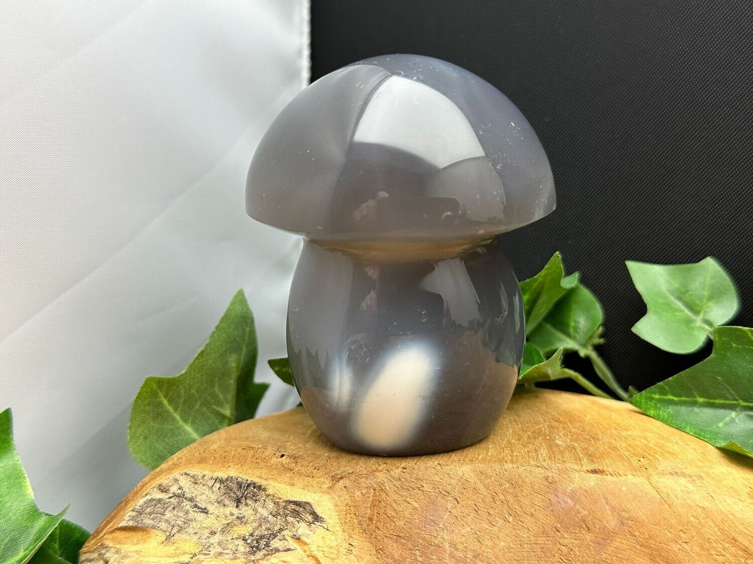 Paddenstoel Pinguïn Agaat