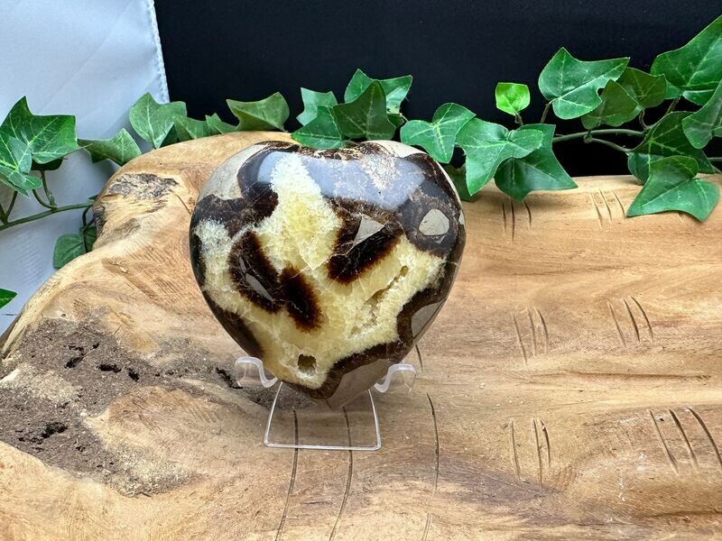 Septarie Hart (groot)