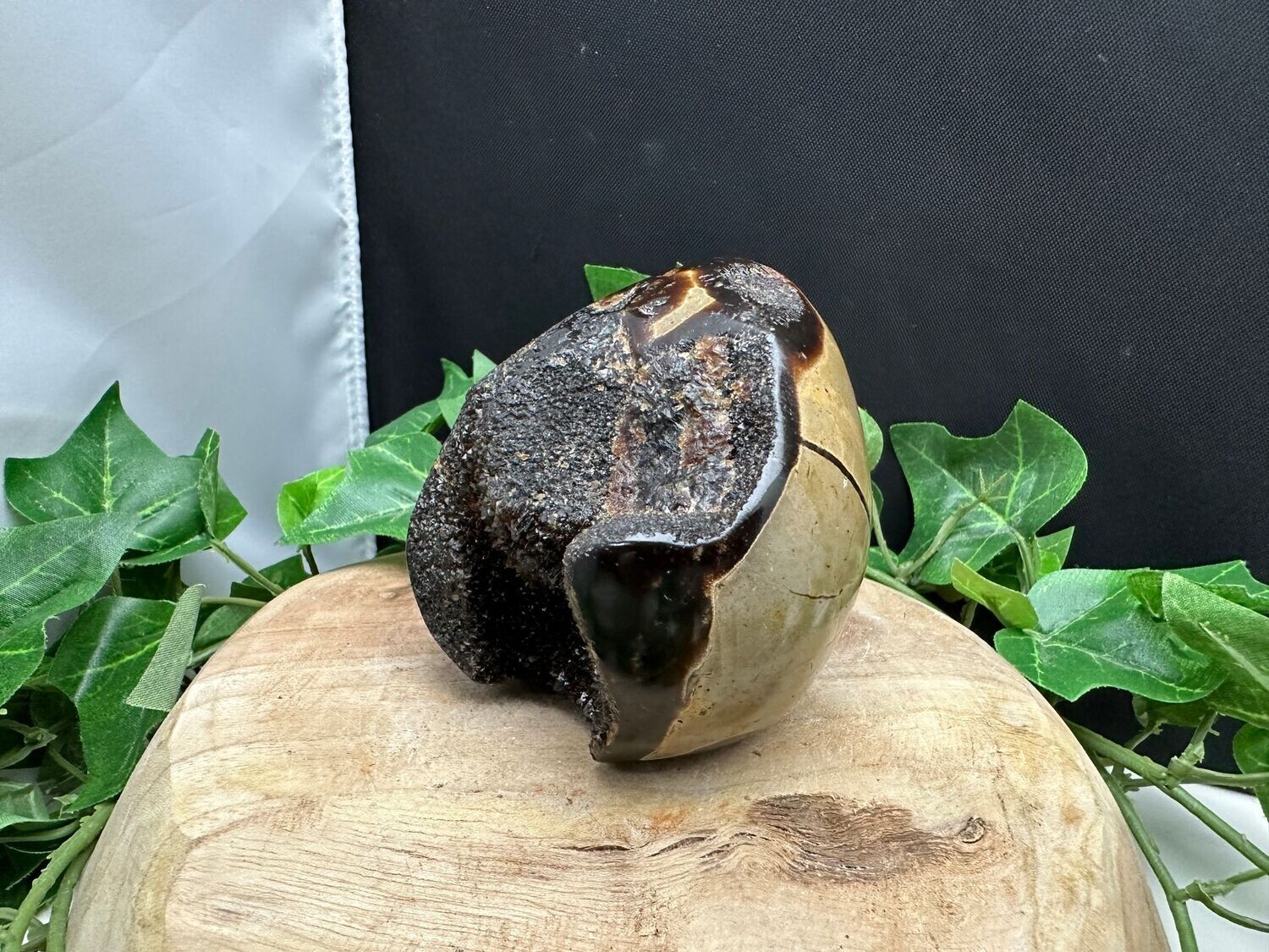 Septarie