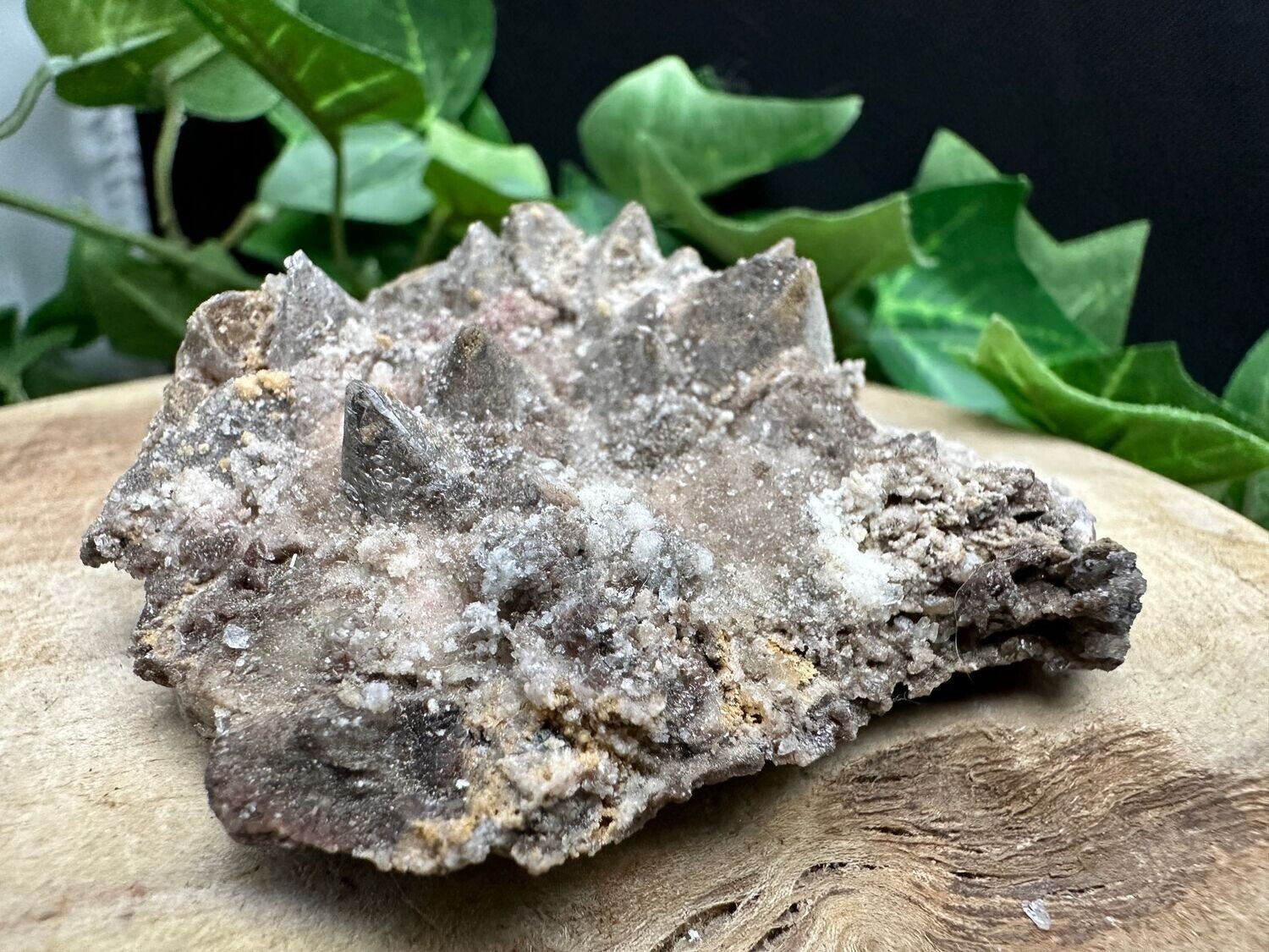 Dogtooth Calciet