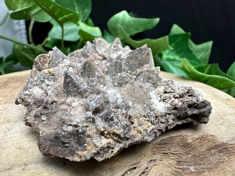 Dogtooth Calciet