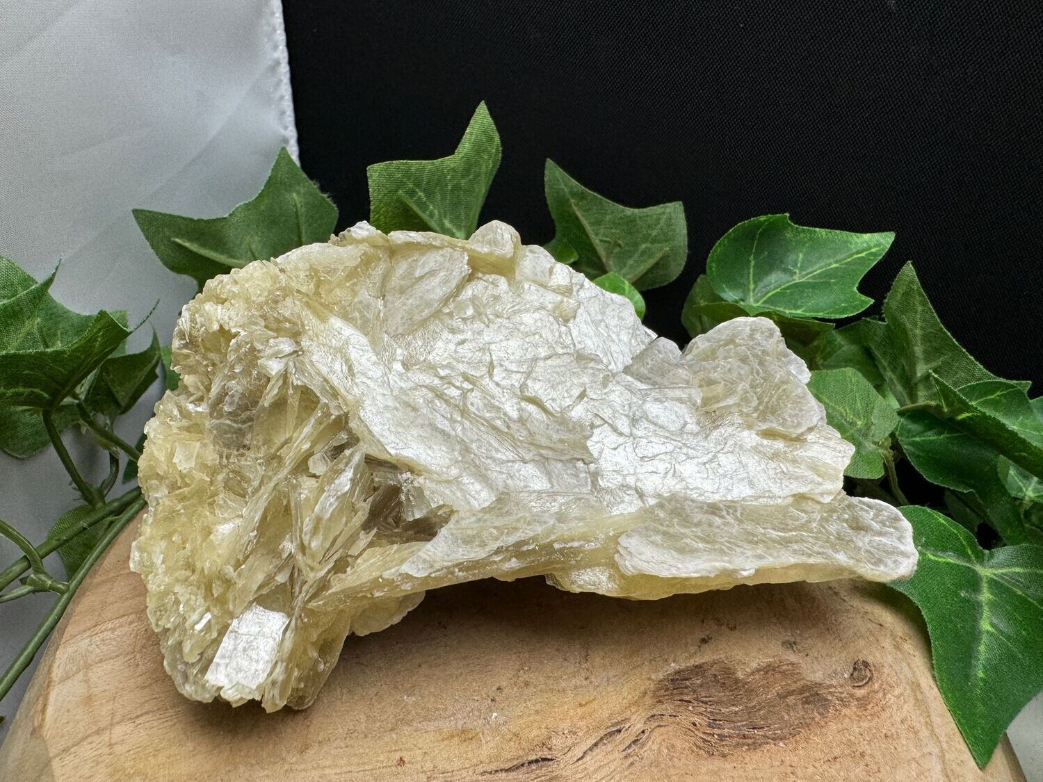 Grote Gele Mica