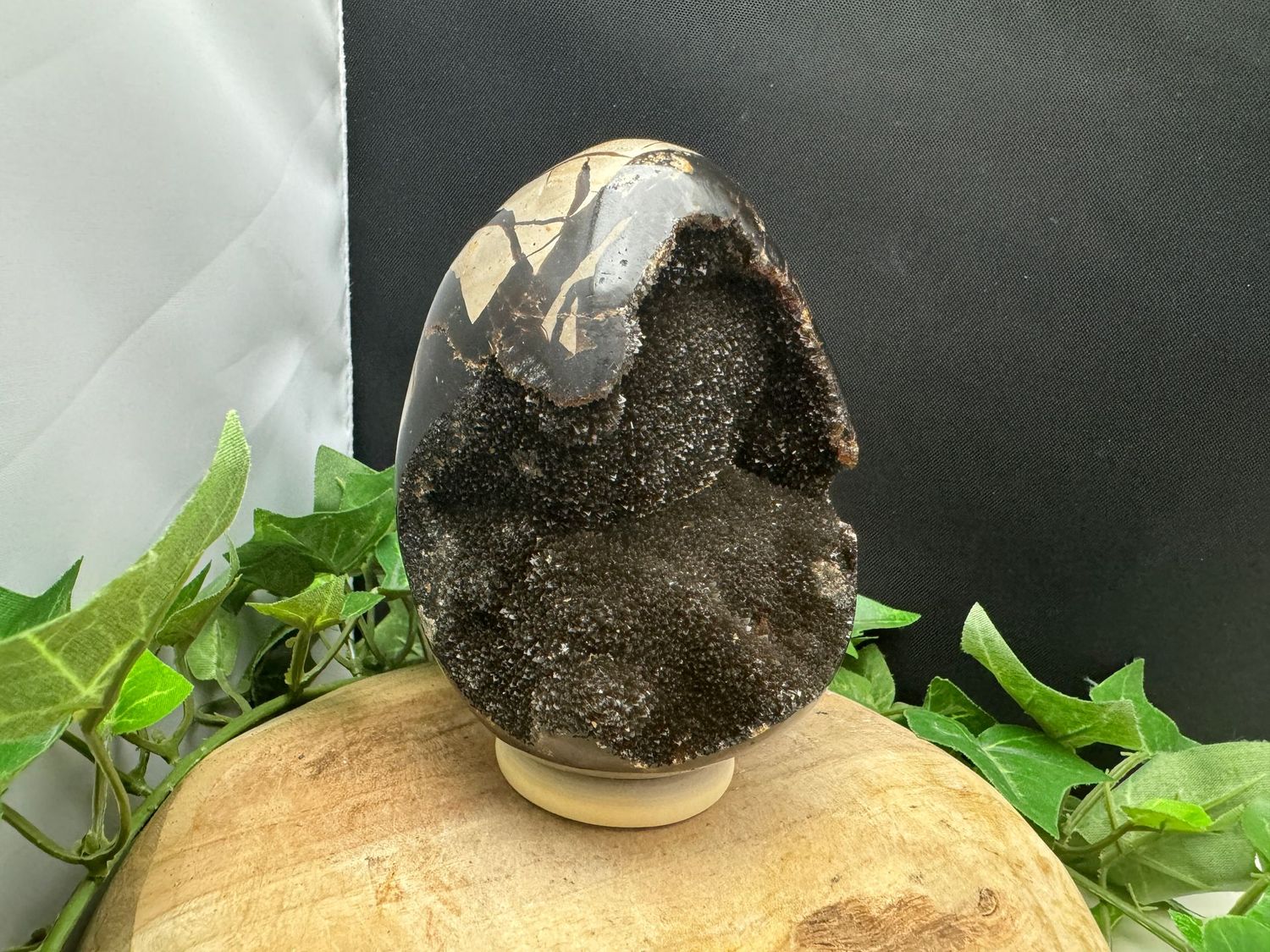 Septarie ei