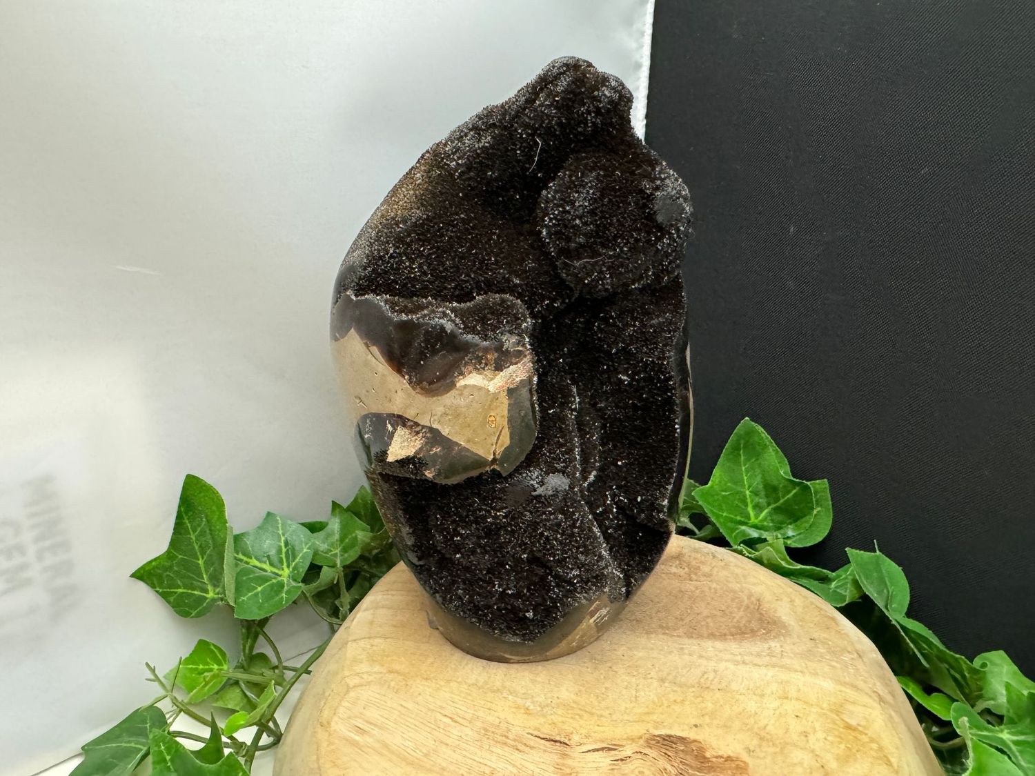 freeform Septarie