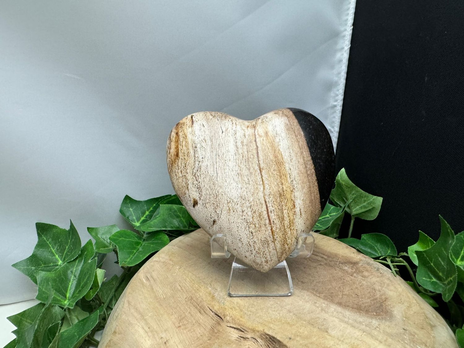 Hart van versteend hout