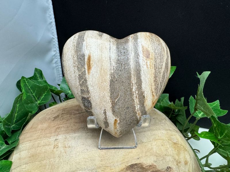 Hart van Versteend hout