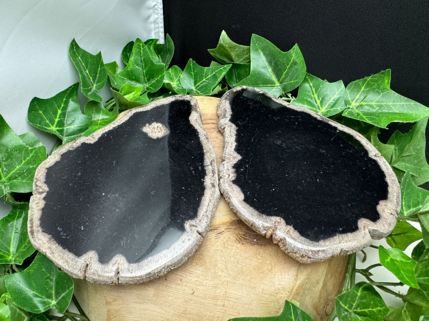 Set versteend hout onderzetters