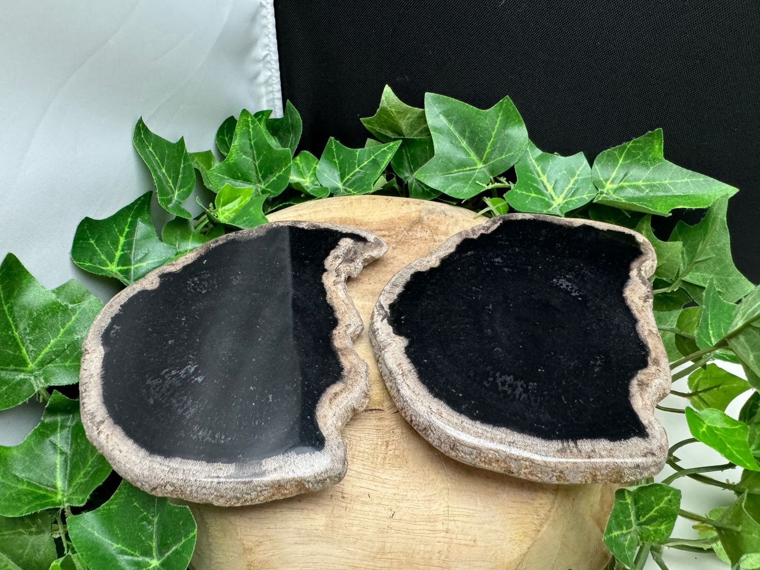 Set versteend hout onderzetters