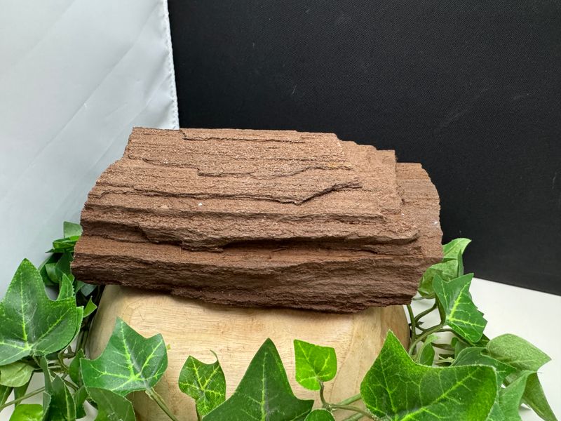Versteend hout