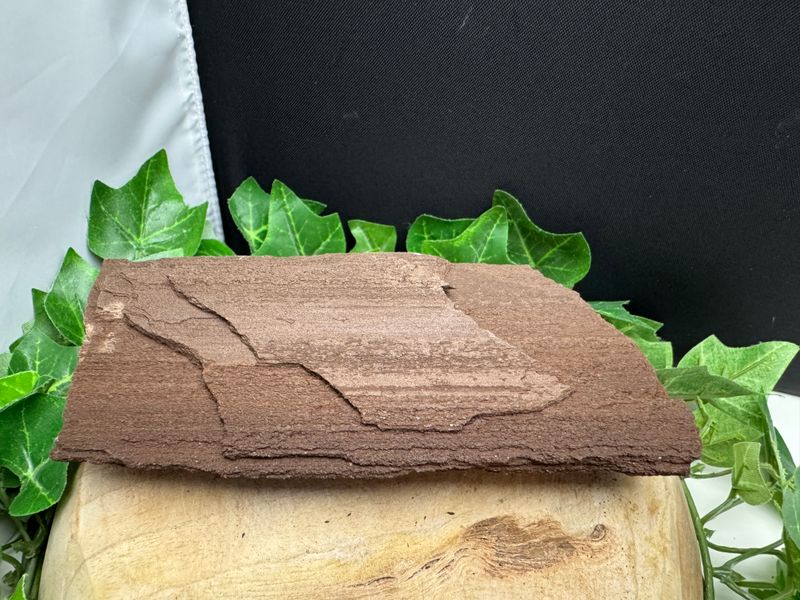 Versteend hout