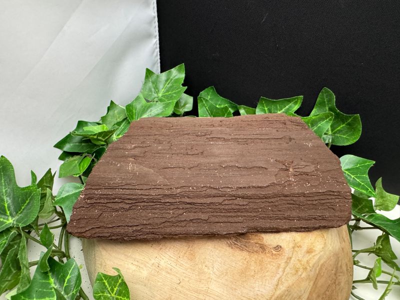 Versteend hout