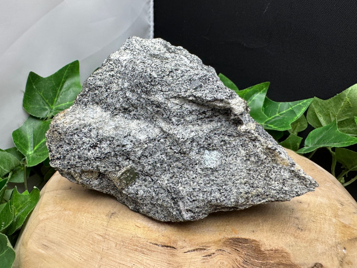 Pyriet in Gneis