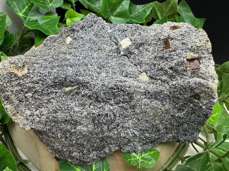 Pyriet in Gneis