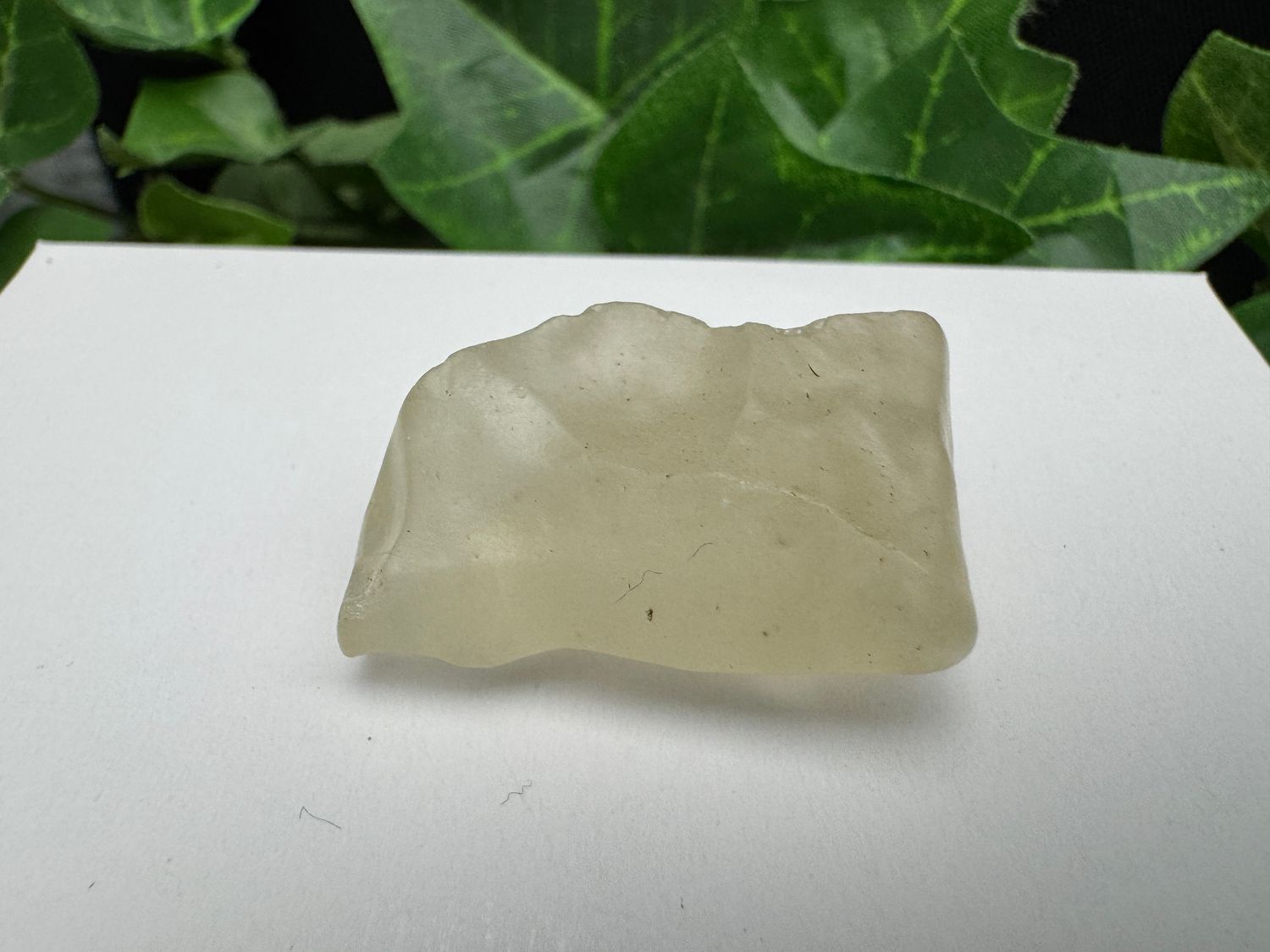 Libisch Glas