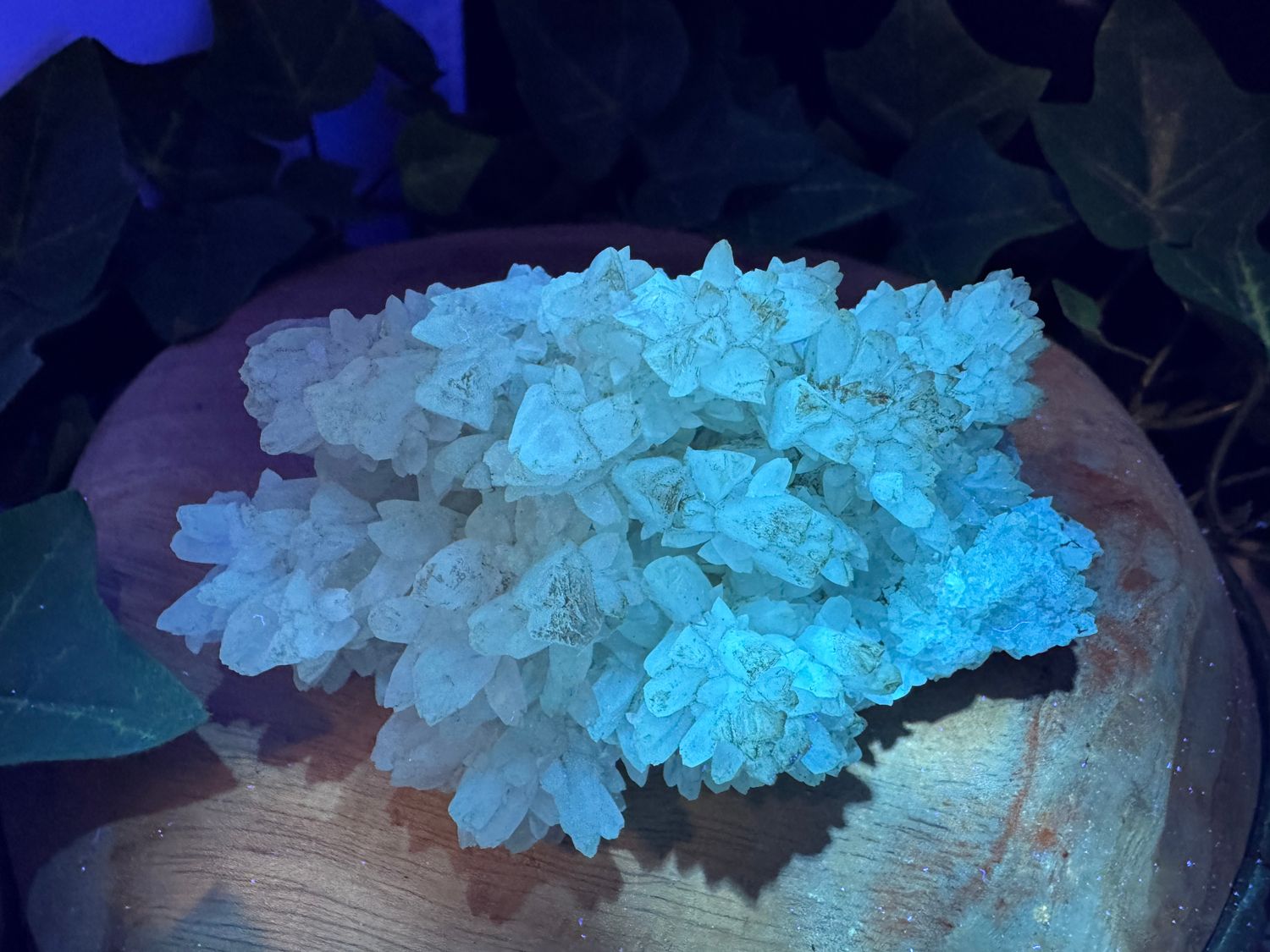 Calciet