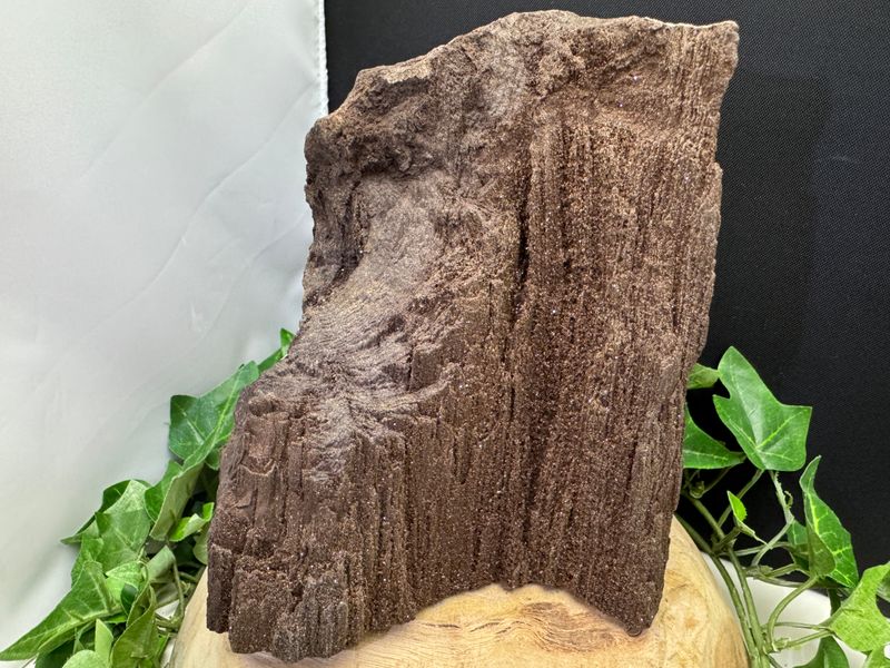 Versteend hout