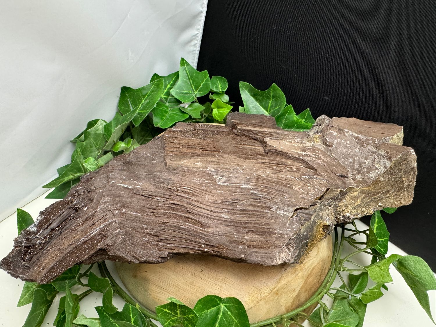 Versteend hout