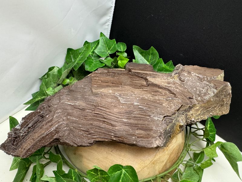 Versteend hout