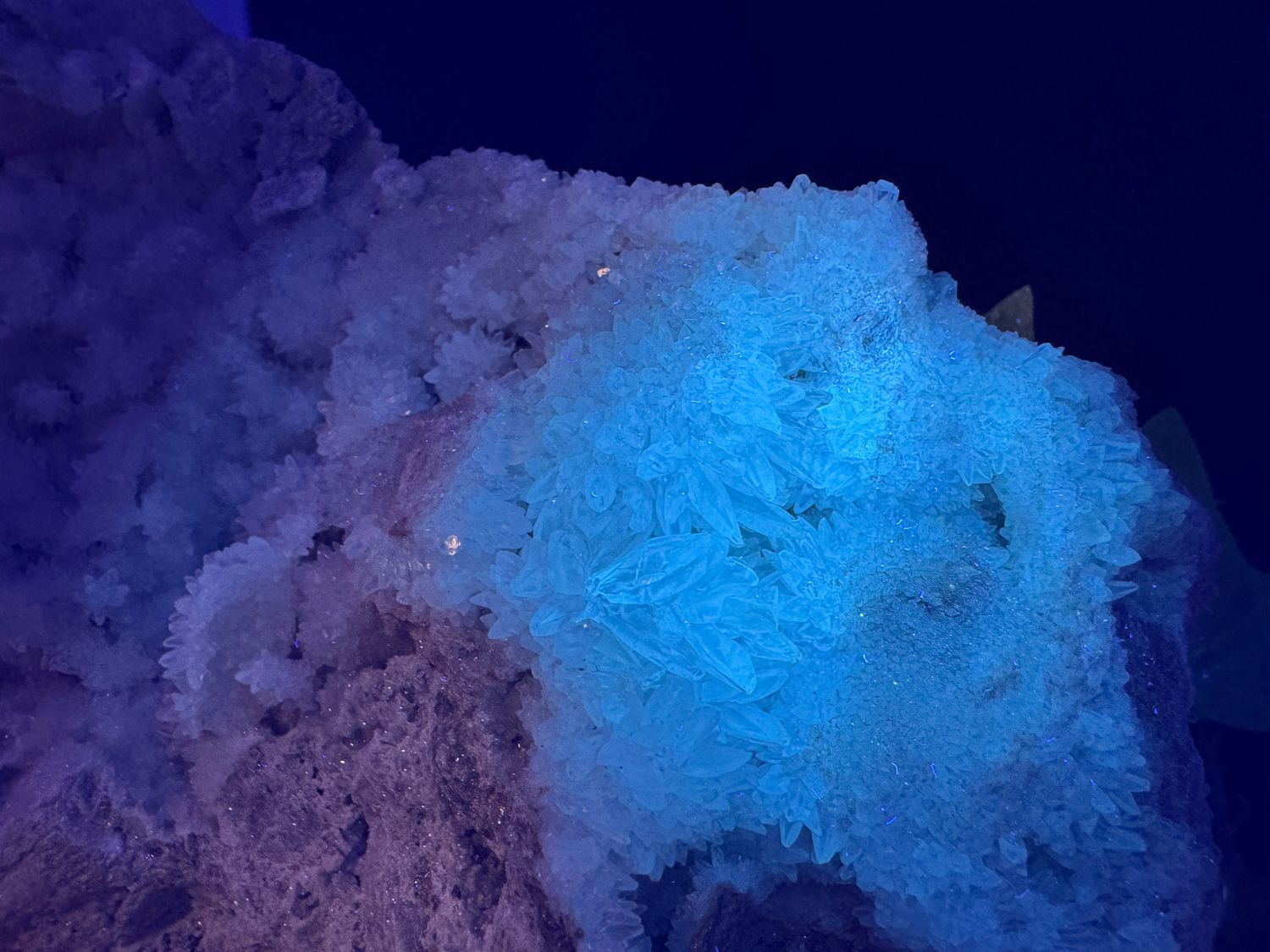 Calciet