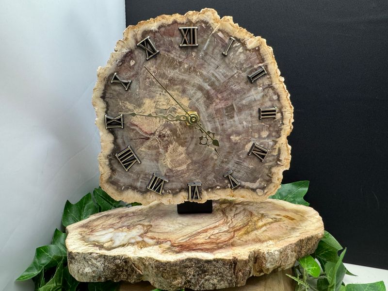 Klok van Versteend Hout Klok van Versteend Hout