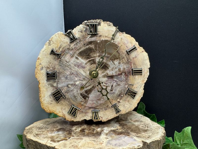 Klok van Versteend Hout Klok van Versteend Hout
