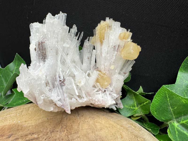Scolesiet met Calciet