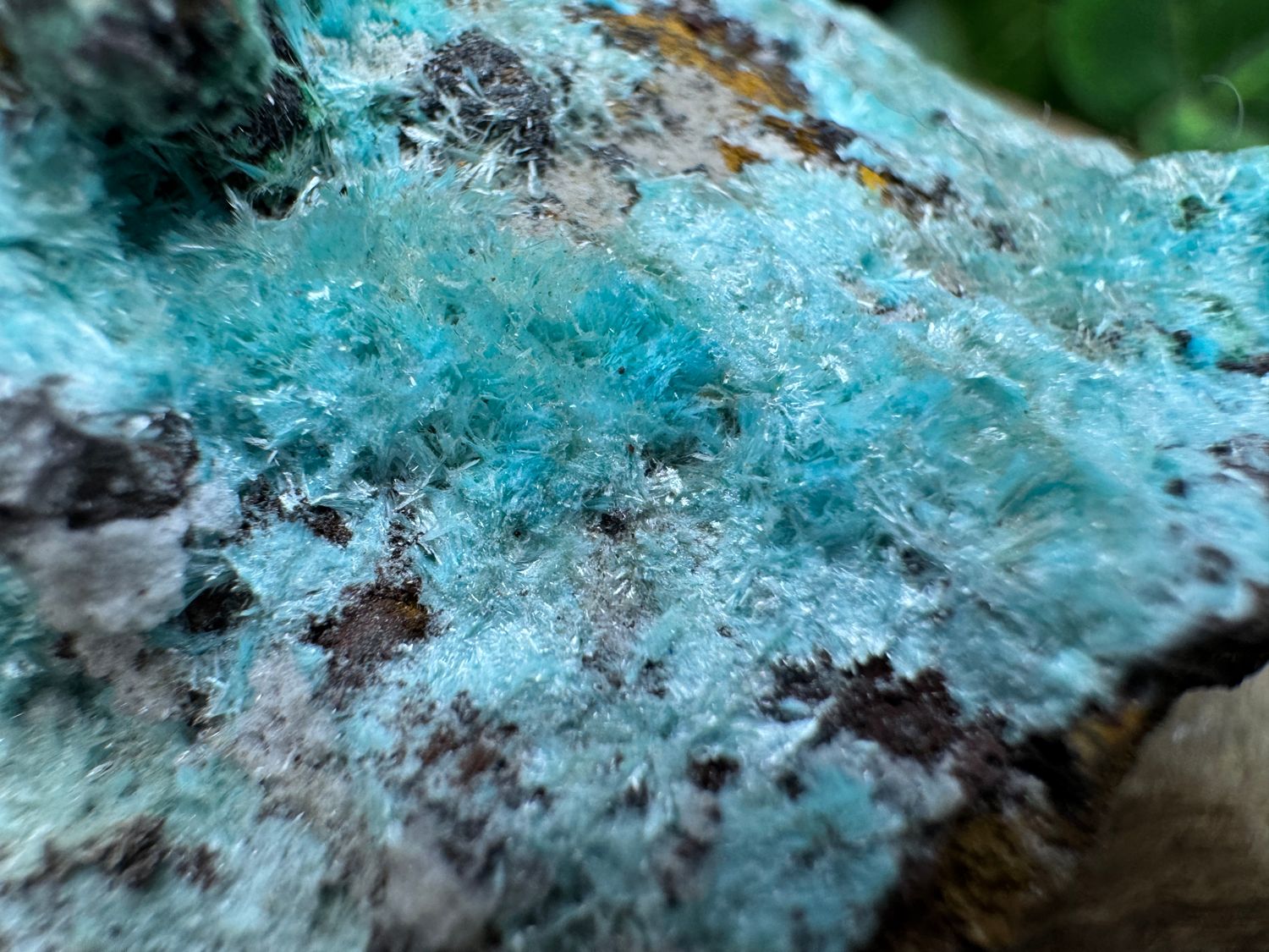 Aurichalciet