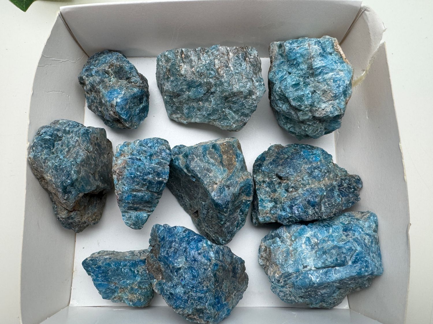 setje blauwe Apatiet