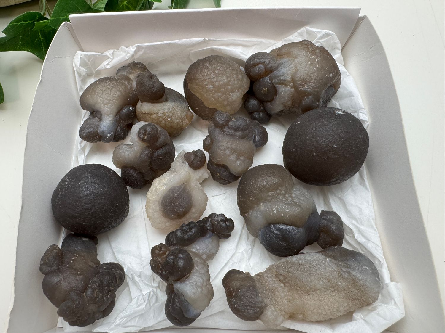 Setje Woestijn chalcedoon