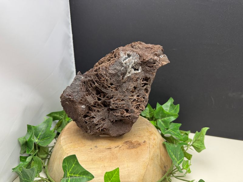 Versteend hout