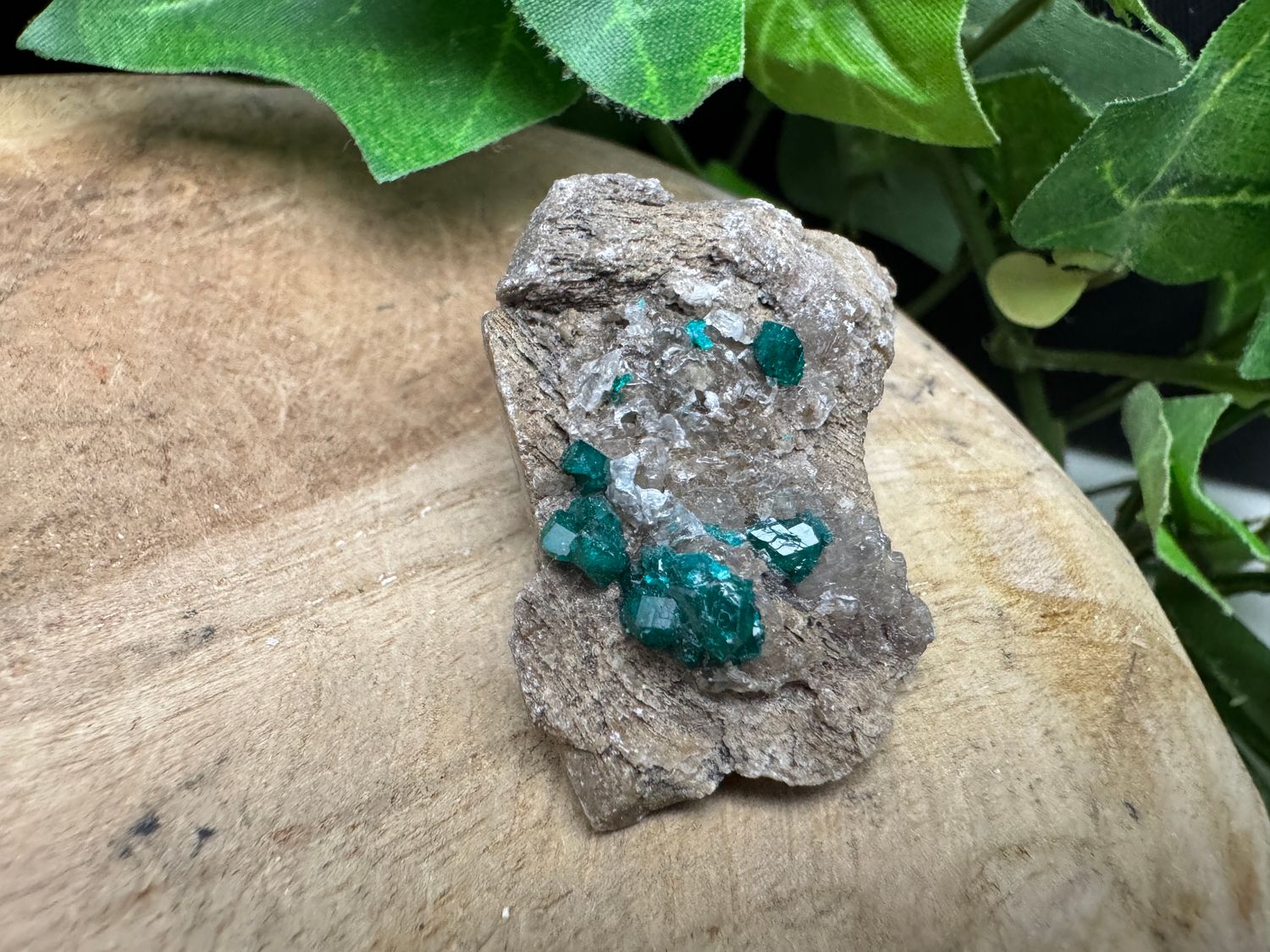 Dioptaas