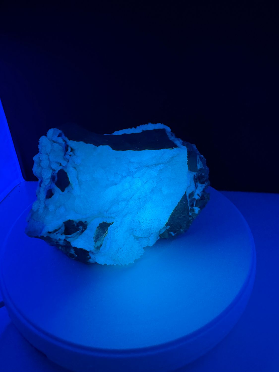 XXL Calciet (Alverdissen)