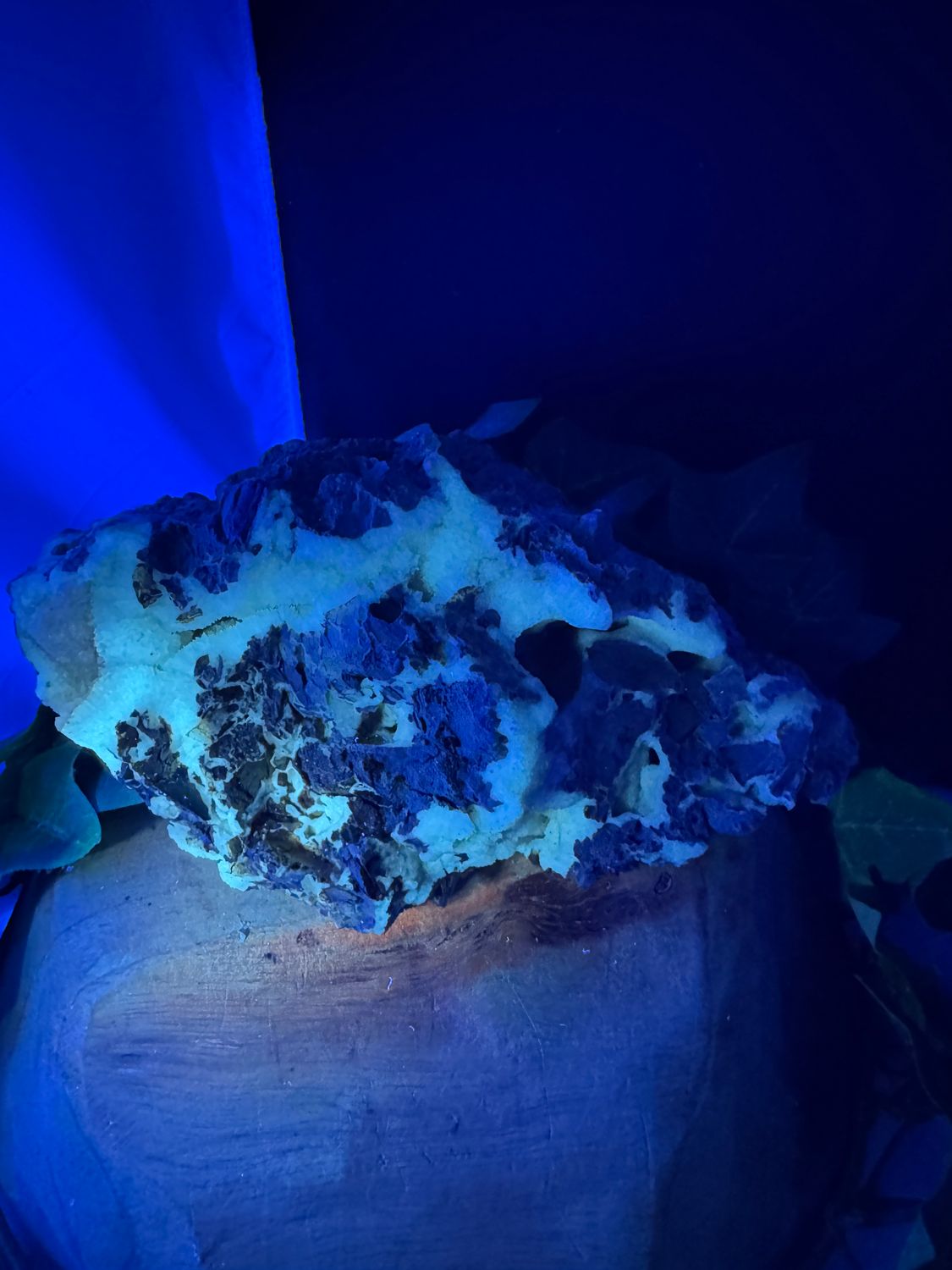 Calciet (Alverdissen)