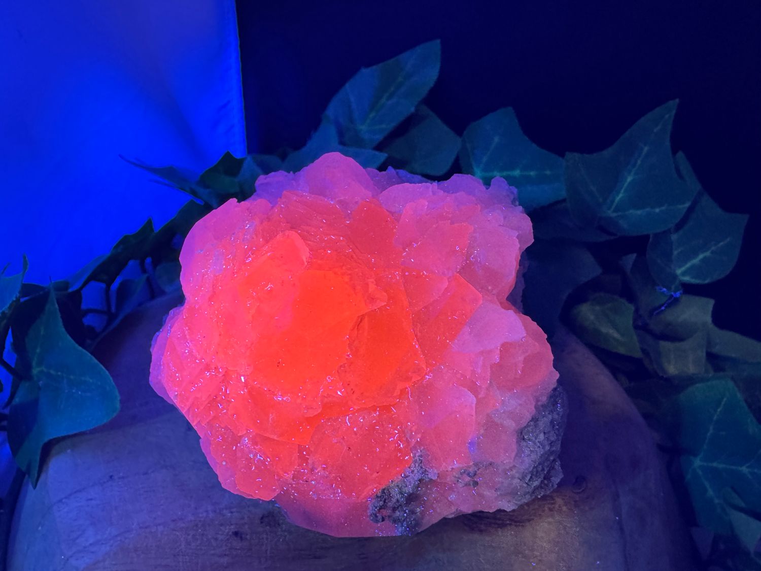 Mangano Calciet ruw