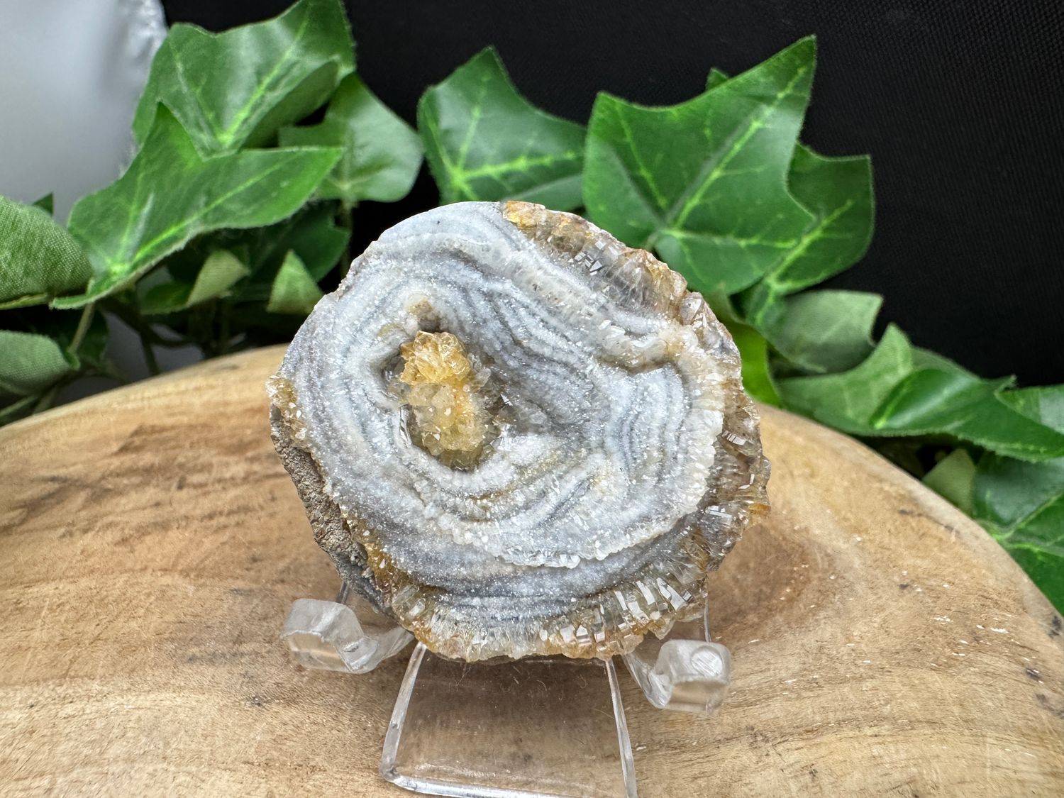 Chalcedoon roosje