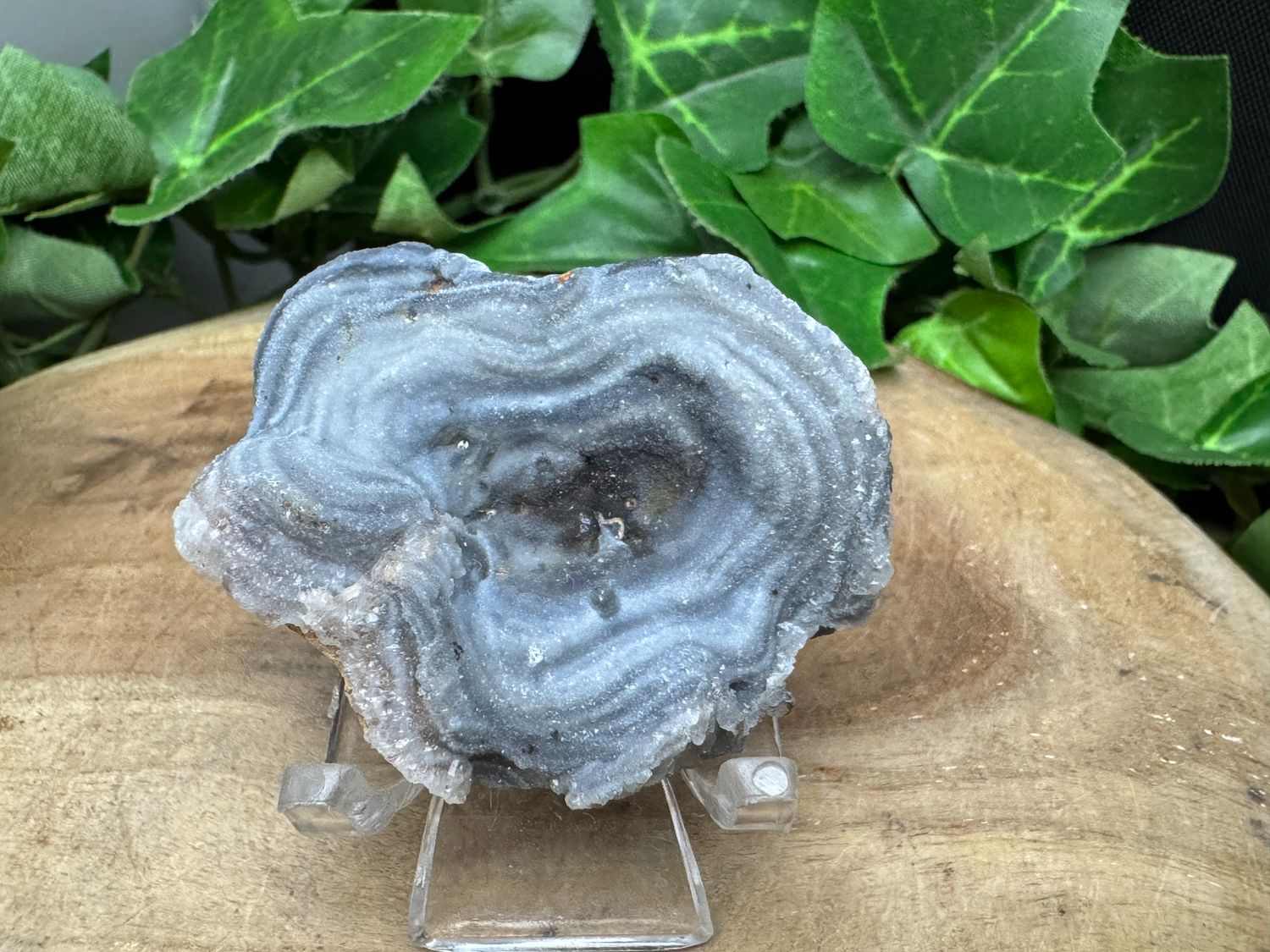 Chalcedoon roosje