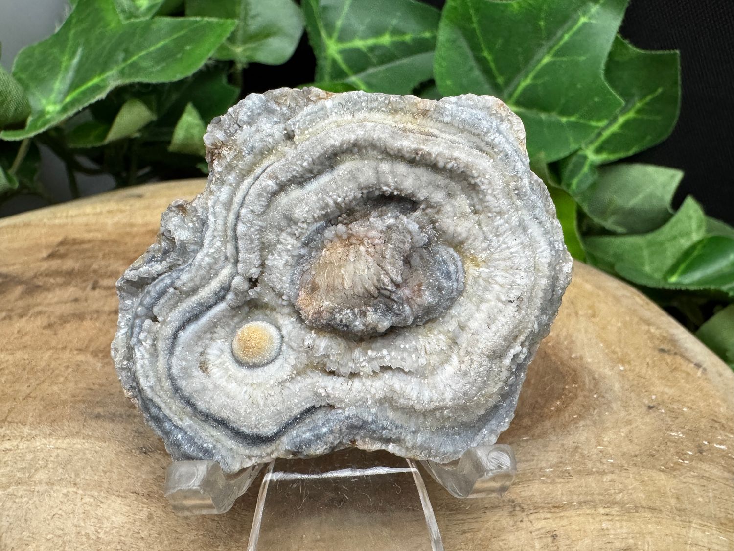 Chalcedoon roosje