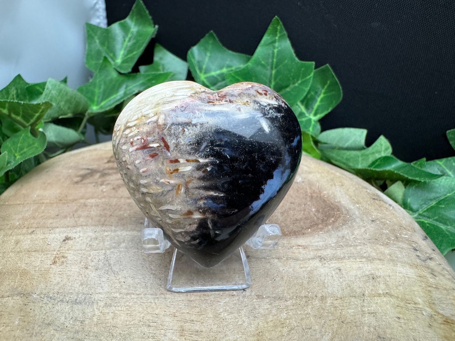 Versteend hout hartje