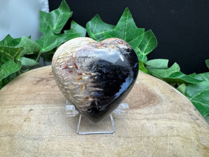 Versteend hout hartje