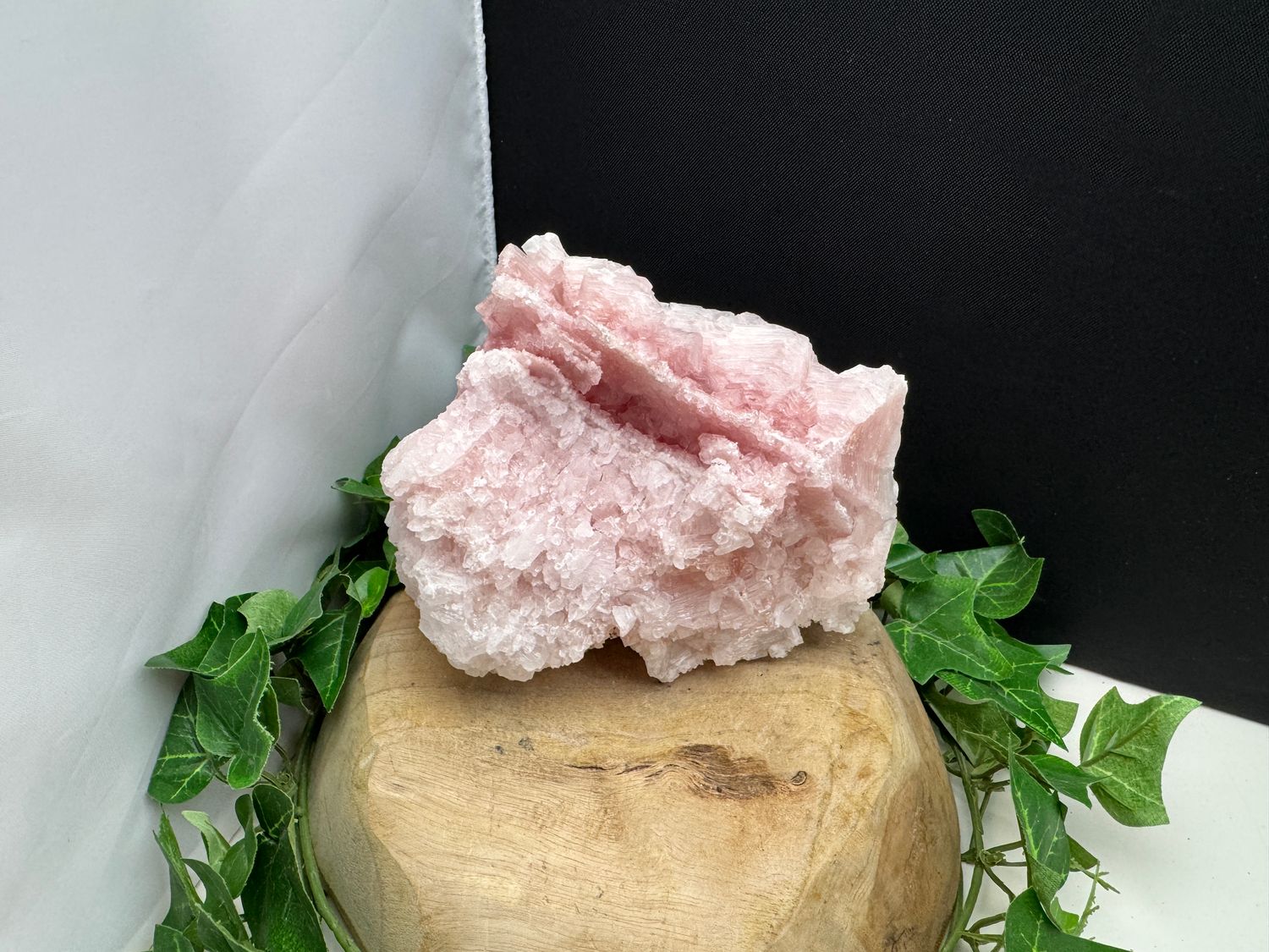 Grote Roze Haliet