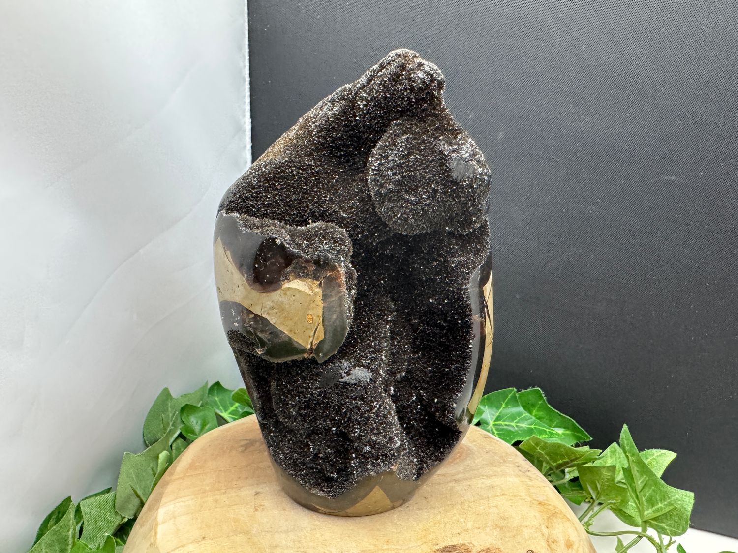 freeform Septarie