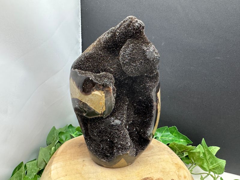 freeform Septarie