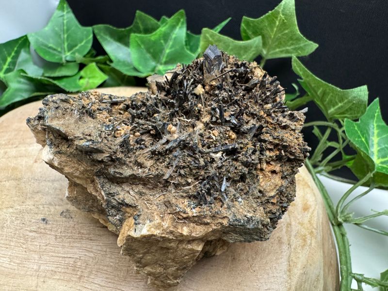 Aegirien cluster met Rookkwarts op veldspaat